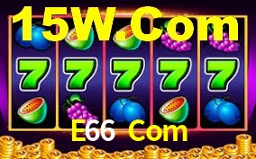 E66 Com